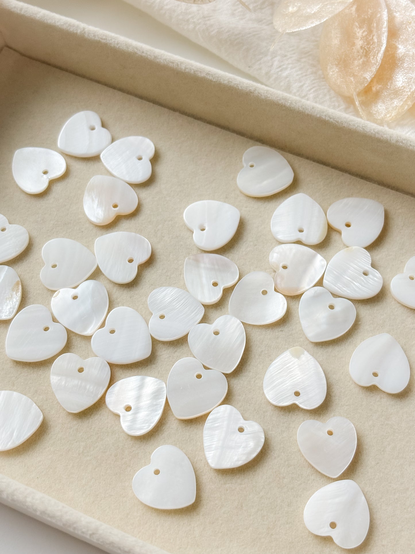 Seashell pendant heart 15mm, 1pc