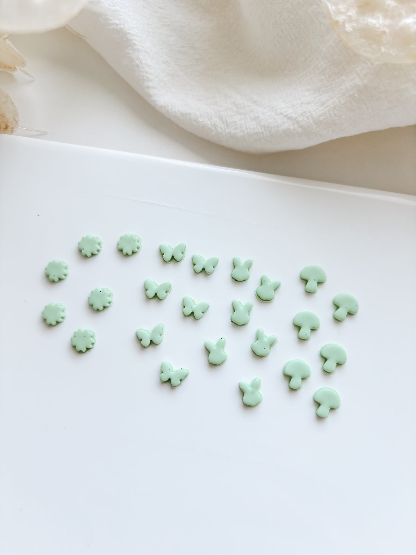 Mold flower butterfly bunny mushroom, m533