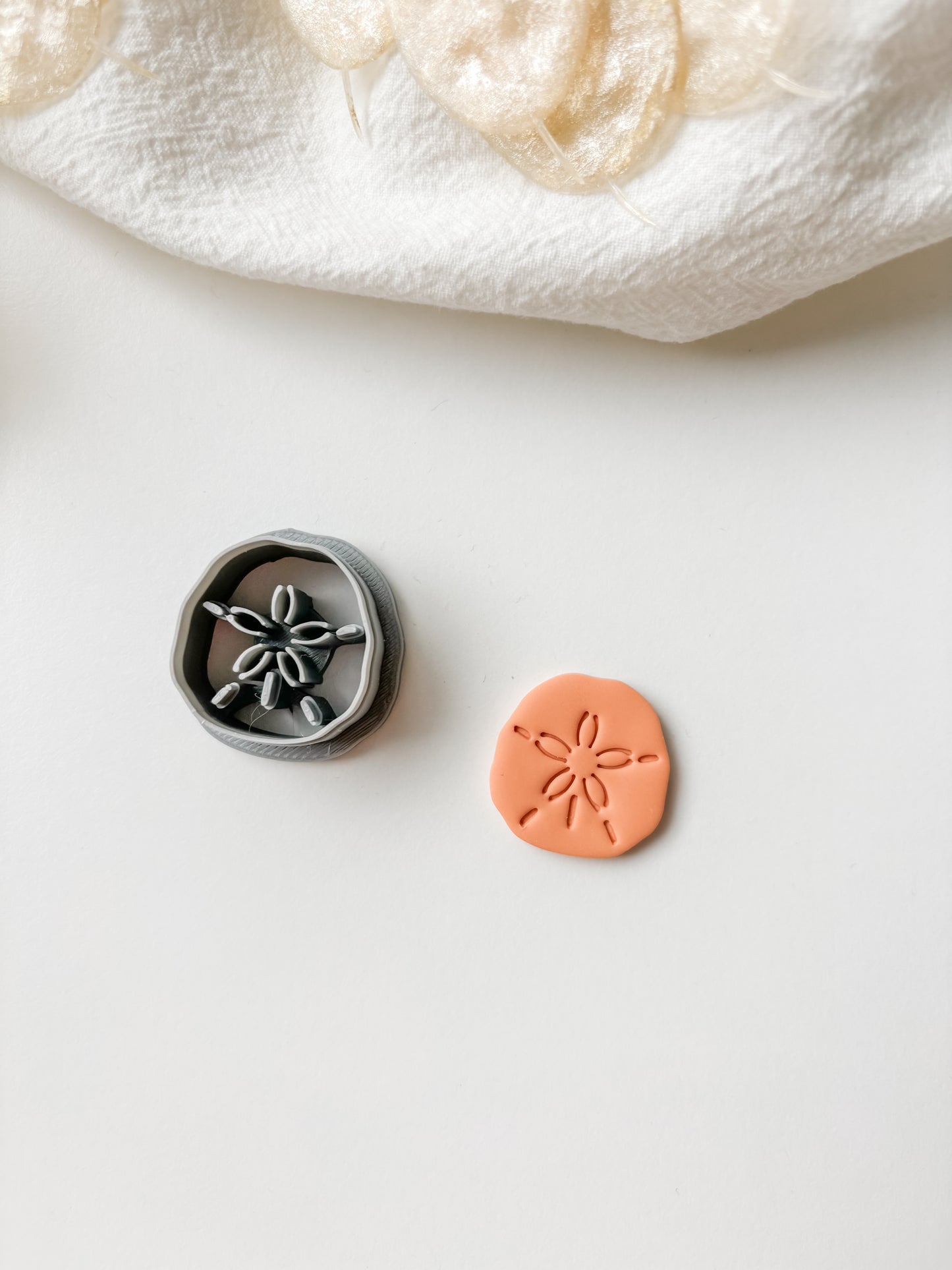 Sand dollar mold, m572