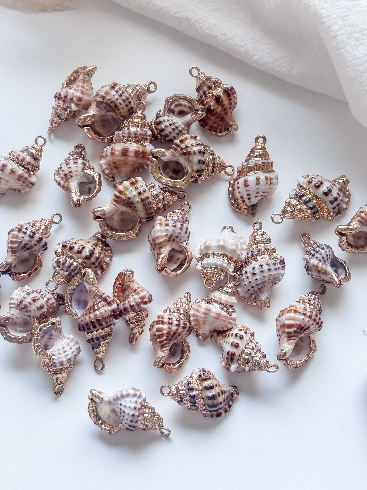 Simpukkariipus 2kpl