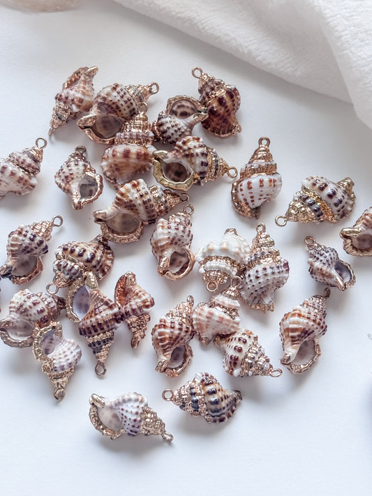 Simpukkariipus 2kpl